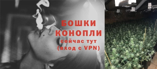 марки lsd Пересвет