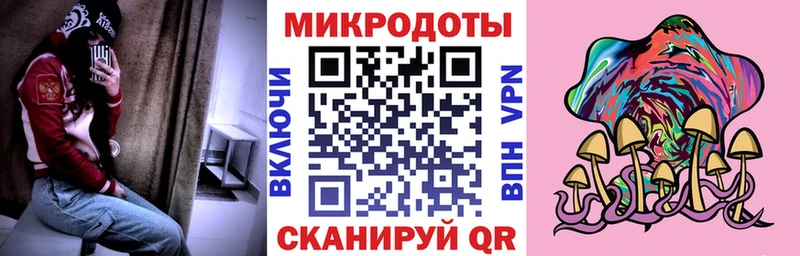 Купить где  Бодайбо  Псилоцибиновые грибы Psilocybe 